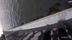 Весенний судак на 3 кг с набережной Саратова!!!! Хорошо что взял подсак