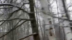 Песня из фильма Чародеи - Три белых коня.