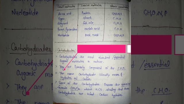 Biochemistry, Carbohydrates And Classification And Structure