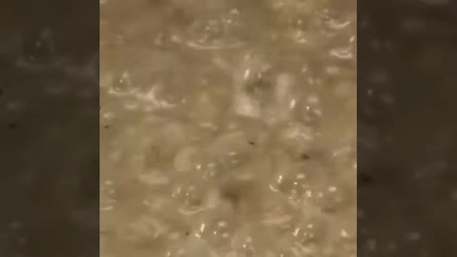 risoto 4 quesos смотреть онлайн