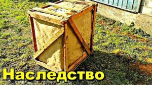 Досталось в наследство от деда - Думаю стоит много денег