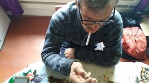 Дегустация пасынков табака дополнение