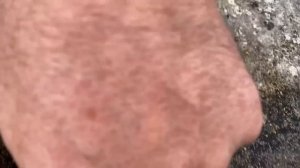 ОСЕННЯЯ ОБРАБОТКА ОТ КЛЕЩА!!! КОНТРОЛЬ ОСЫПИ!!!