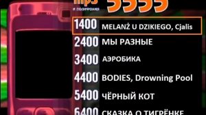 Реклама на BRIDGE TV 2011 (14/15)