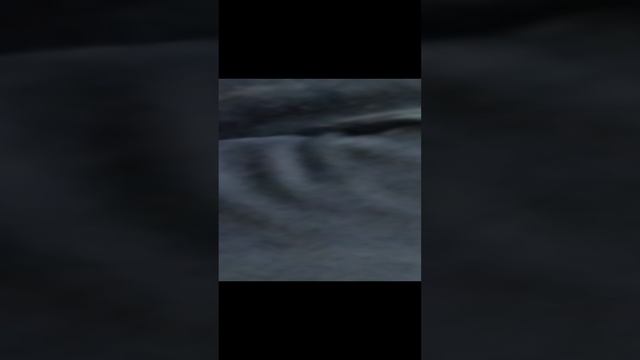 отжимания смотреть онлайн