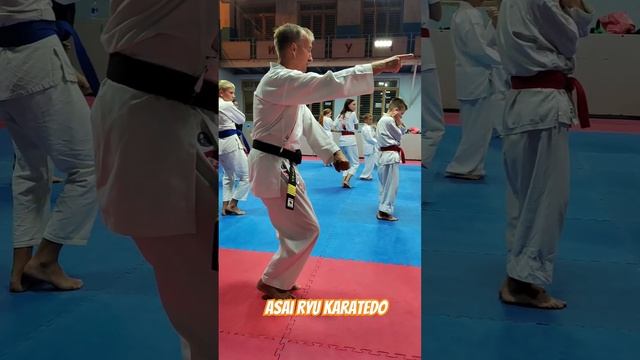 Ротация в стойках. Asai Ryu karatedo. #asairyu #karate #каратэ смотреть онлайн