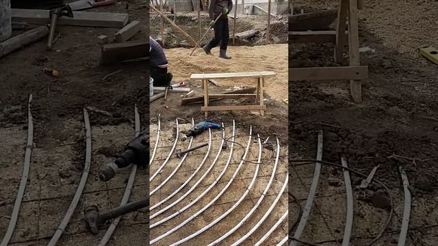 Павловния смотреть онлайн