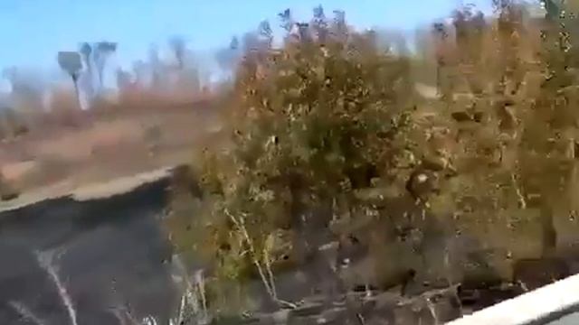 Подбитый танк укров Двигатель еще рабо смотреть онлайн
