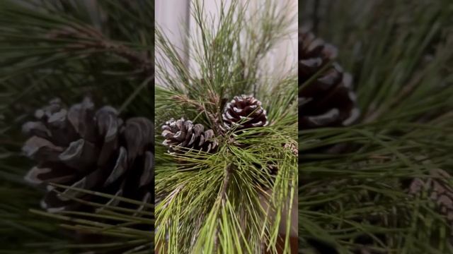 Часть 2 «на минималках» 😂