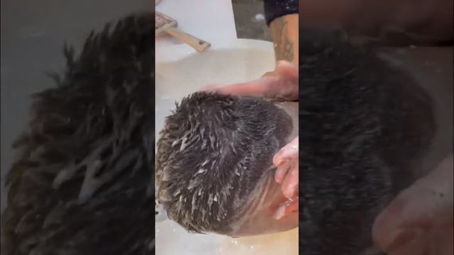 asmr hairwash, asmr massage #asmr #asmrsounds #asmrvideo #sleepfast #asmrbarber #sleepwell #head смотреть онлайн