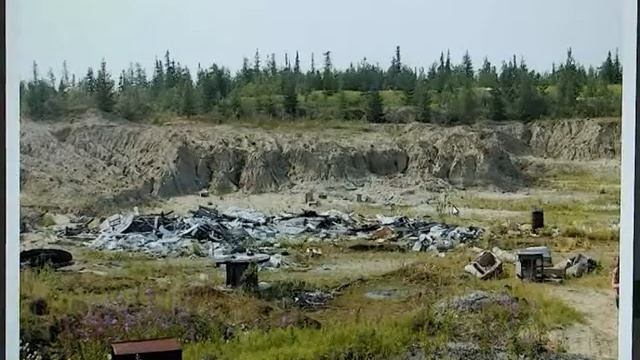 Проект "Будущее Арктики" смотреть онлайн