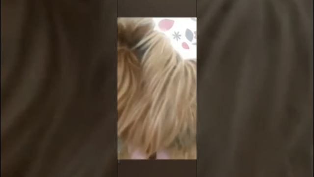 🩷 смотреть онлайн