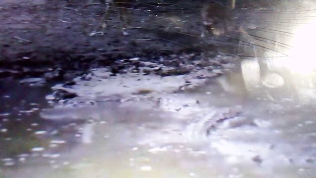 Нильский крокодил - убийца антилоп. Цикл Дикие реки Африки.