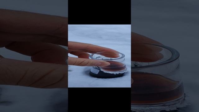 Как сделать настойку