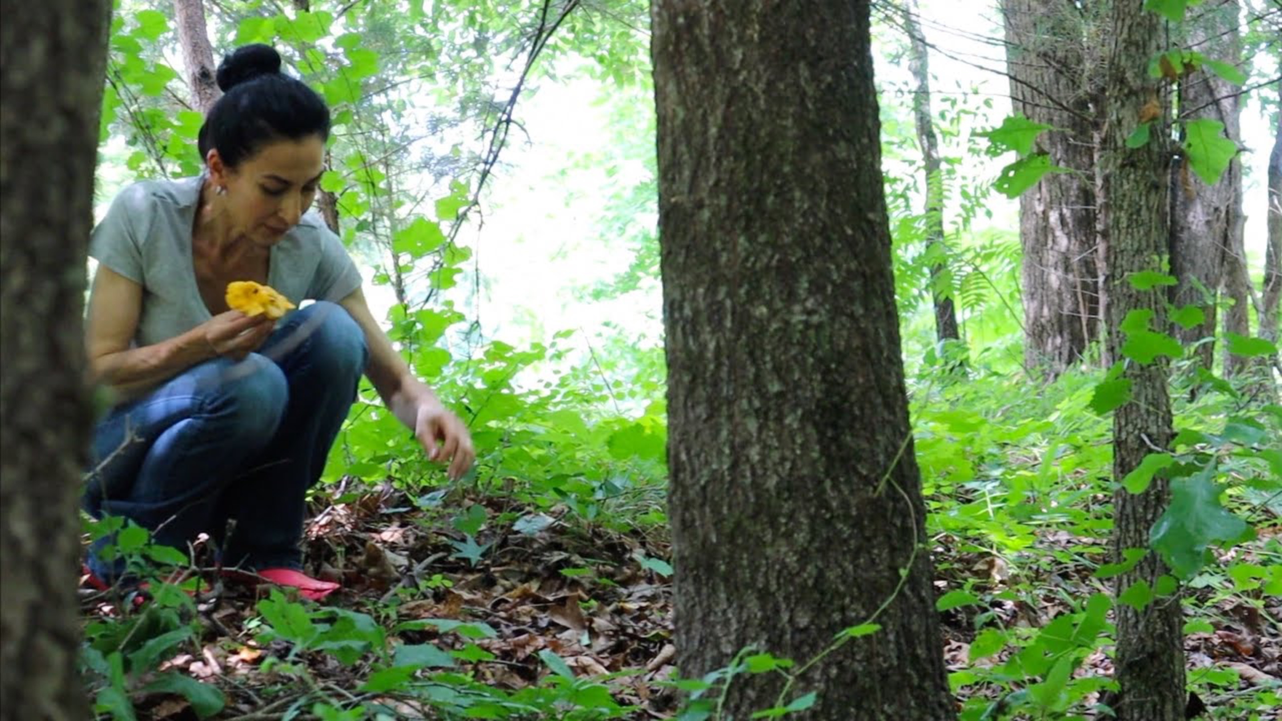 Собираем Грибы для Компоста | Готовлю Стейк на Ужин | Эгине | Семейный Влог смотреть онлайн