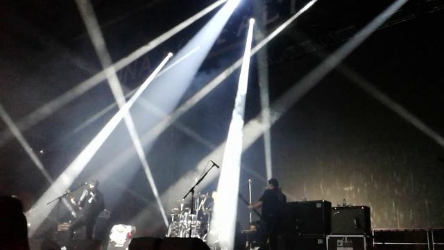 Molotov - Dance And Dense Denso