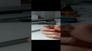 Какие команды знает моя бумажная собака Майкл