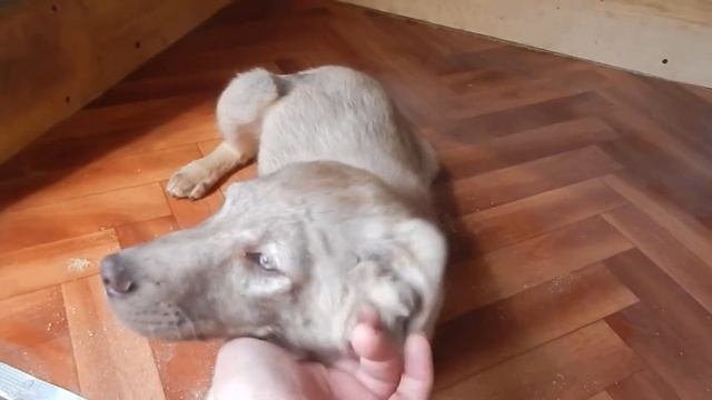 пиар малышей смотреть онлайн