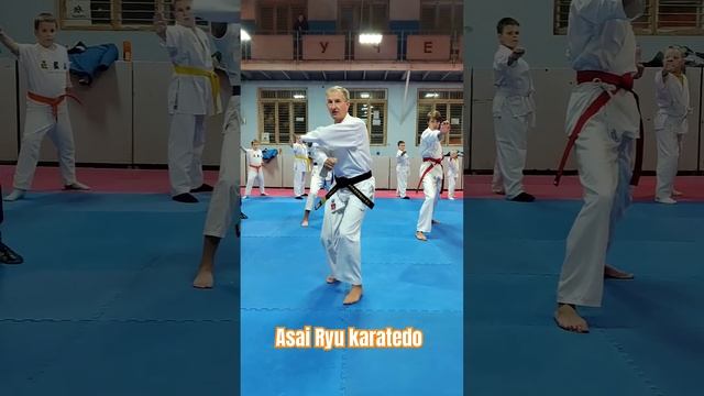 Asai Ryu Kihon. #karate #asairyu #каратэ смотреть онлайн
