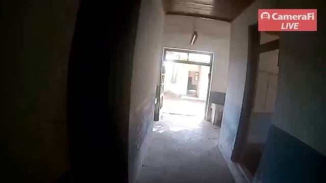 Actual Survival Game with CameraFi Live смотреть онлайн