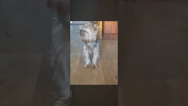 :) смотреть онлайн