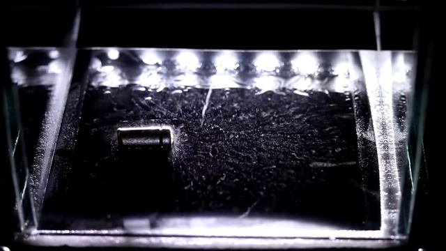 Камера Вильсона смотреть онлайн