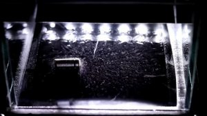 Камера Вильсона