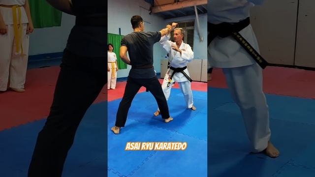Asai Ryu karatedo. Наработка базы. #asairyu #karate #каратэ смотреть онлайн