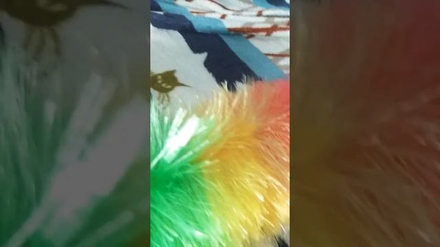 Тюлень, 1серия.. смотреть онлайн