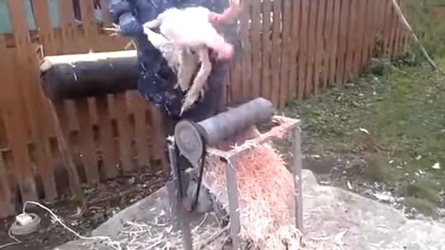 Ощипывание домашней птицы смотреть онлайн