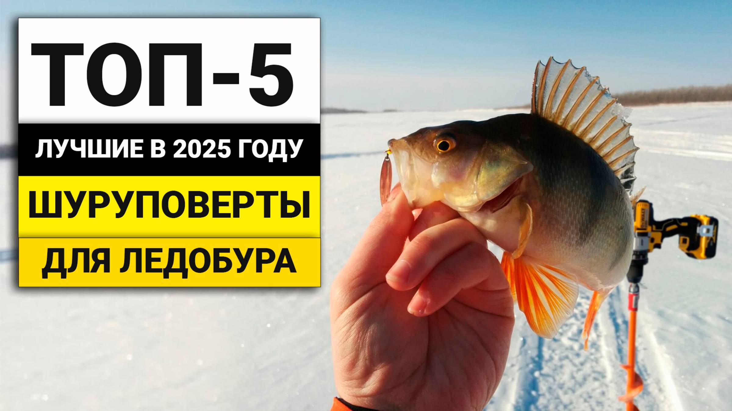 Лучшие шуруповерты для зимней рыбалки | ТОП-5 в 2025 году смотреть онлайн