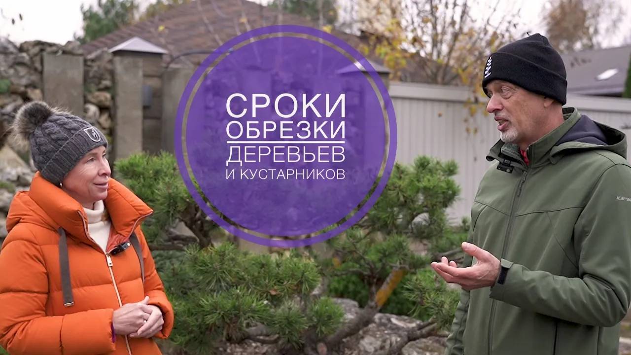 СРОКИ ОБРЕЗКИ ДЕРЕВЬЕВ И КУСТАРНИКОВ смотреть онлайн