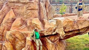 Лев Рыжик ПРЫГАЕТ со СКАЛЫ, Олег Зубков хотел поймать его на ручки, но не успел!