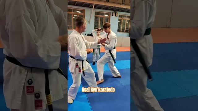 Подводящие упражнения для наработки скорости удара и ротации. #asairyu #karate #каратэ смотреть онлайн