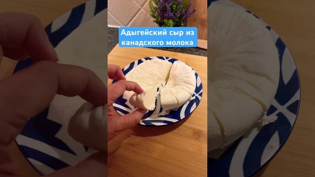 Сыр из канадского молока #video #fun #canada #канада #shortsvideo #cheese #food #shorts #short смотреть онлайн