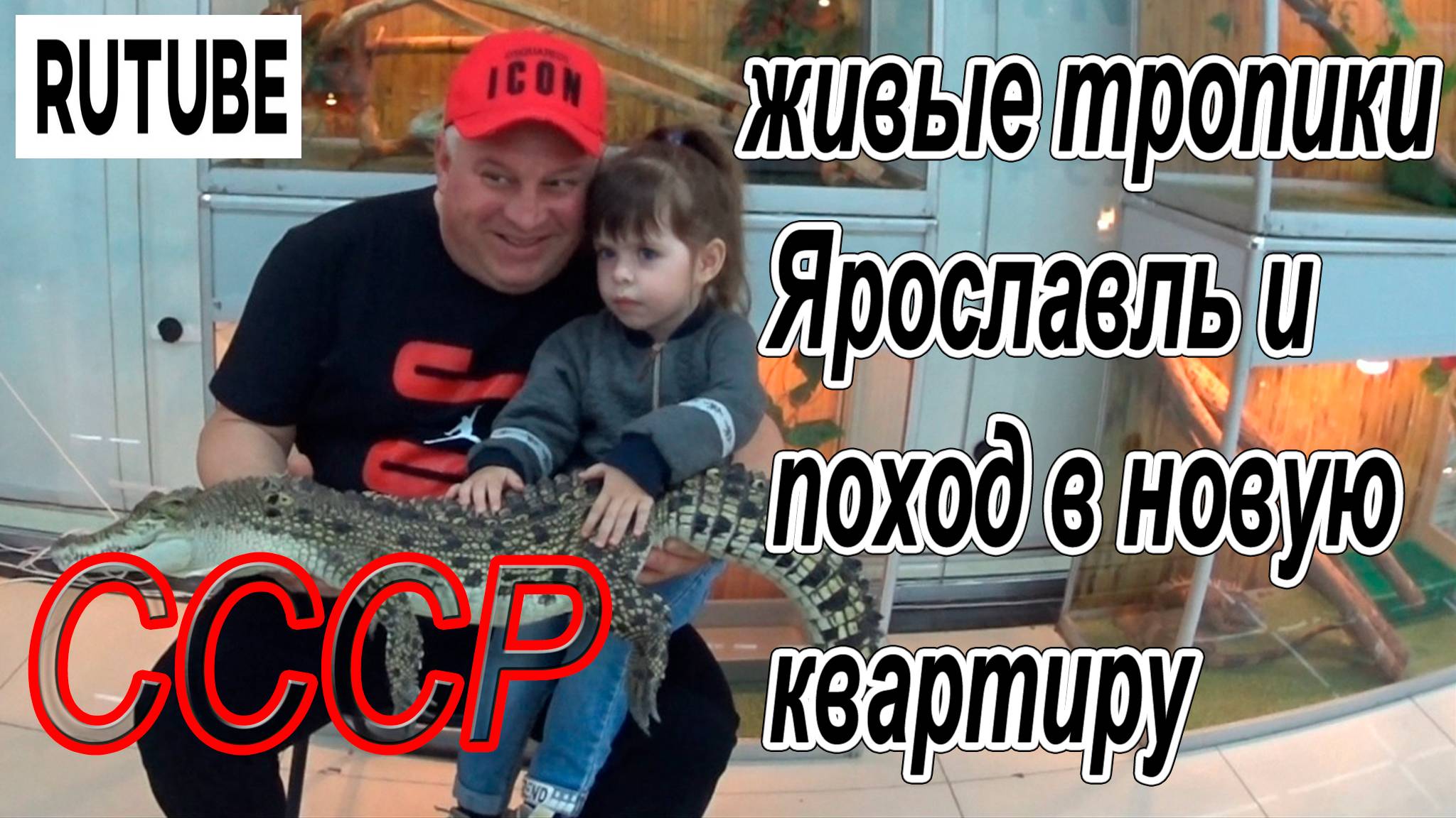 живые тропики ярославль и поход в новую квартиру смотреть онлайн
