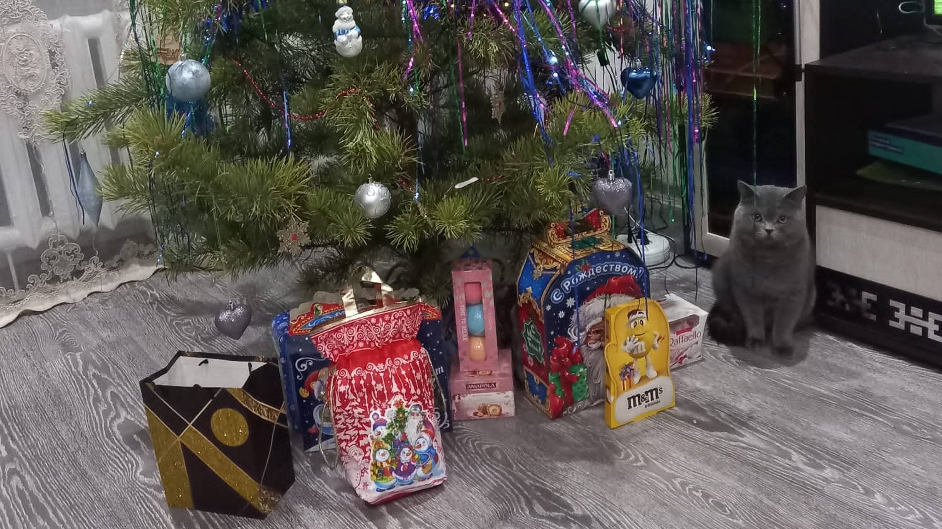 забираю линию наград в drave ahead смотреть онлайн