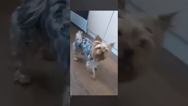 💖 смотреть онлайн