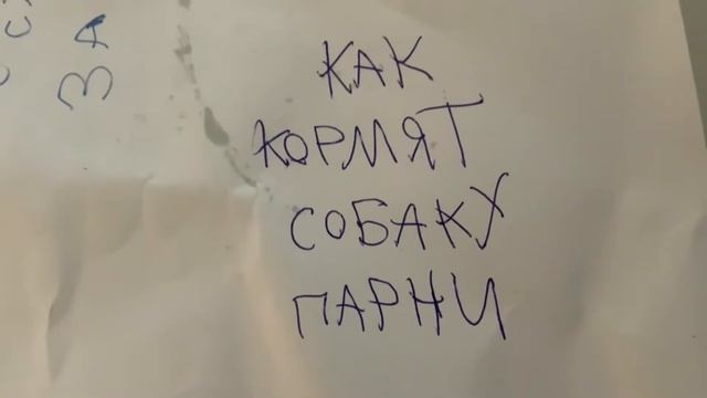 как кормят собаку и девочки и парни смотреть онлайн