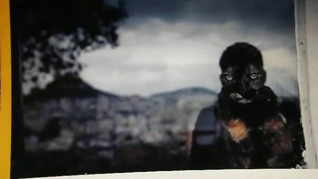 Кто мы?.. - Стих Сергей Воронин смотреть онлайн