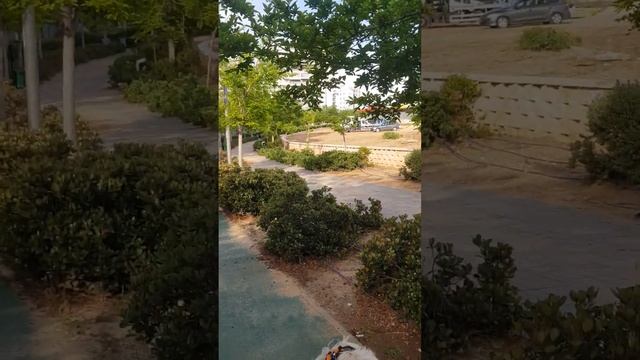 хорошо ,что есть собака,хочешь не хочешь,а утром нужно гулять😄 смотреть онлайн