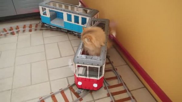 Строим поезд Lego размером с Кошку | Building a Cat-Sized Lego Train