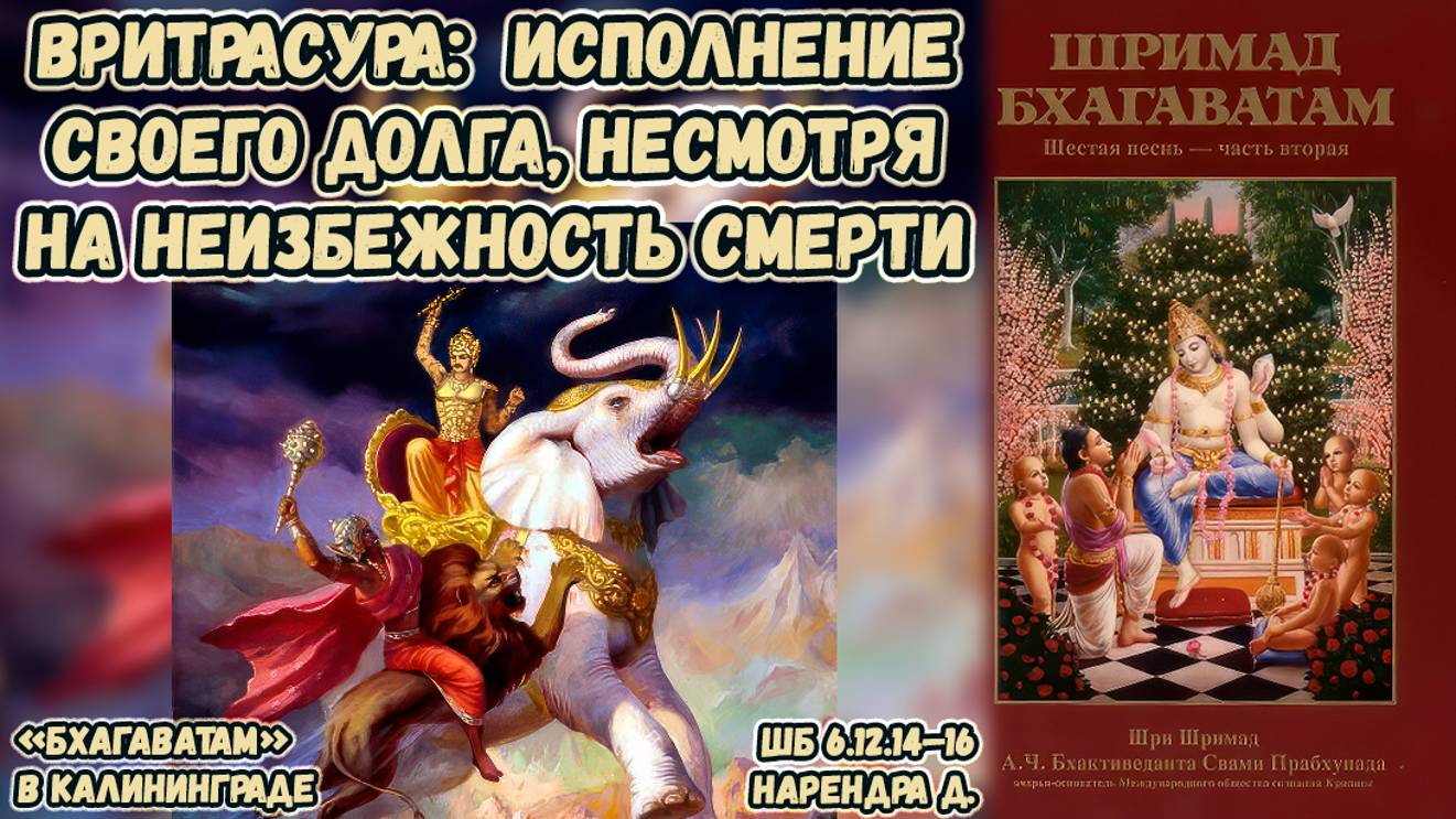 Вритрасура: исполнение своего долга, несмотря на неизбежность смерти. Нарендра д. ШБ 6.12.14–16