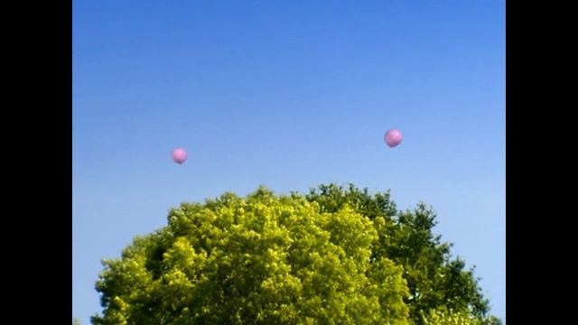 Serial Насекомые  Божья коровка Паук на воздушном шаре Insekten Spinne Mit Luftballon