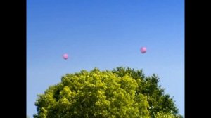 Serial Насекомые  Божья коровка Паук на воздушном шаре Insekten Spinne mit Luftballon