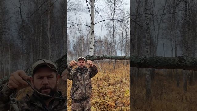 Ловля рябчика смотреть онлайн