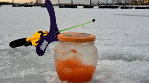 Уловистая снасть на красную икру для ловли форели.