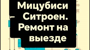 МИЦУБИСИ НЕ ЗАВОДИТСЯ. СТРОЕН С4 ПРОБЛЕМЫ В СИГНАЛИЗАЦИИ