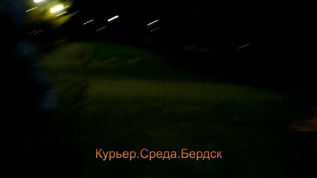 Пенсионерка поймала в парке Бердска "догхантера" смотреть онлайн