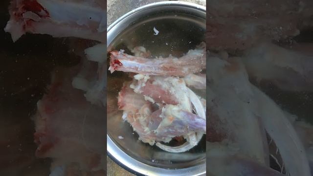 , First Possum catch and SOON cook video... Enjoy! смотреть онлайн